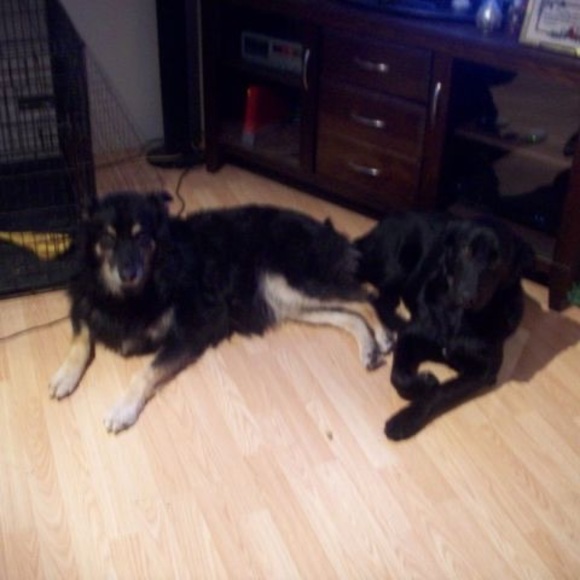 Meet your Posher, Jeanne - Picture 1 of 1